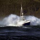 'Monarch' powers its way through heavy seas inside Otago Harbour about 4pm yesterday. Photo by...