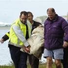 John Patterson, from Waitoa, is assisted by (from left) a St John ambulance officer, Helicopters...