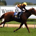 Thimble (Samantha Spratt) wins the the feature race for 3yr-old fillies at Wingatui yesterday....