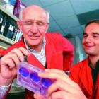 Dr Richard Webby (right) works with his mentor, fellow University of Otago graduate and world...
