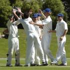 Otago's Bradley Scott celebrates with team-mates after trapping Wellington's Luke Woodcock lbw...
