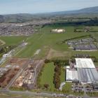 Fisher and Paykel Appliances' plant on Dukes Rd, Mosgiel, will be advertised for sale this weekend.