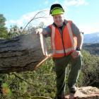 Doc biodiversity threats ranger Dan Tuohy takes a break during felling of pine trees at the...