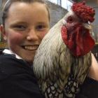 Josephine Parnham shows off her favourite rooster, Turkey, at the Oamaru Poultry, Pigeon and...