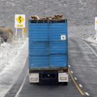 “Some farmers need to stand their stock before shifting the problem to operators. The operators...