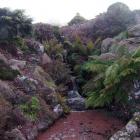 Ferns and a waterfall at Kaydale could be taken for a New Zealand scene. Photos by Gillian Vine.