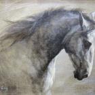 <i>Montuzza</i>, by Julie Greig.
