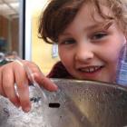Karitane School pupil Kimberley Russell (6) at the school's water fountain. Pupils have to bring...