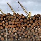 Log prices  have risen in the past month. Photo by Gerard O'Brien.