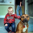 Rebeccah Kennedy and her son Jay enjoy a visit from his dog, Max, at their Mosgiel state home on...