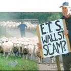 &quot;The ETS is based on politics, not on facts.&quot; - Lovell's Flat sheep farmers and...