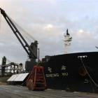'Sheng Mu' loads 8300 tonnes of phosphate earlier in the week in Dunedin's upper harbour for...
