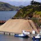 The estimated 25,000 tonnes of wood chips which have been stockpiling on Port Otago's Beach St...