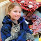 Wanaka Primary School pupil Neve Faed (8) cuddles a cat at the SPCA Otago  after donating boxes...