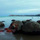 A broken Moeraki boulder reveals something about its origins: deposits of iron oxide and silicon...