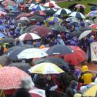 A carpet of umbrellas covers the athletics track at the Caledonian Ground, Dunedin, as cancer...