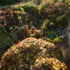 A compost heap in the upper garden. Photo by Gerard O'Brien.