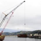 A contractor's crane drives the first sheet piles into the seabed at Port Otago's oil wharf in a...