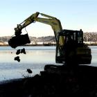 A digger spreads fill to make a path into the Andersons Bay inlet where a rock bird roost is to...