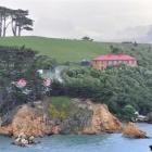 A fire burns in a hedge on Quarantine Island in Otago Harbour yesterday. Photos by Linda Robertson.