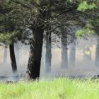 A firefighter tackles one of fires in the Pines reserve north of Alexandra yesterday. Photo by...