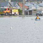 A flooded Bathgate Park, Dunedin, in early June. PHOTO:  CHRISTINE O'CONNOR