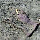 A glove in the dust of a gutter holds a cigarette butt someone has dropped. Photo by Anna Chinn.