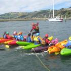 A group kayak-walking stunt on the Boat Harbour, Dunedin builds confidence. Photo supplied.