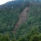 A massive slip caused by the earthquake scars the hillside at Cormorant Cove. Photo by Charmian...