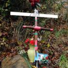 A memorial at the scene of of Liam Stevenson's fatal crash in Ravensbourne last year. Photo by...