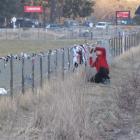 A motorist takes a photograph of the controversial bra fence in the Cardrona Valley. Photo by...