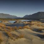 A newly-formed charitable trust will work with the Department of Conservation to restore native...