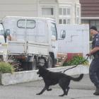 A police dog handler and his dog search for  a knife-wielding man who threatened staff at the Sai...
