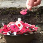 A poppy is placed in a steel helmet at the Soldiers Monument in Arrowtown. Photo by Chris Morris.