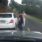 A rental car stopped in Highcliff Rd, on Otago Peninsula. Photo supplied.