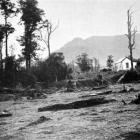 A scene in the Tahakopa Valley, showing Sugar Loaf Hill in the distance. - Otago Witness, 24.6...