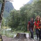 A section of the Routeburn Track. Photo by Joe Dodgshun.