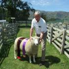 Wyndham farmer Malcolm McKelvie (70), with his family's supreme wool sheep at the 100th West...