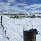 Snow near St Bathans. Photo by Lynda van Kempen.