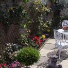A sunny spot has been turned into a courtyard by Marlene Barron. Climbing plants, including a...