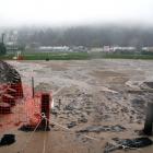 A torrent of water and debris from a nearby subdivision, blamed for inundating Dunedin's Ellis...