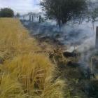 A track-side fire near Totara on January 24, believed to have been caused by a  steam train....