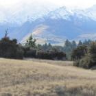 A view of the area of the proposed subdivision in Northlake. Photo by ODT.