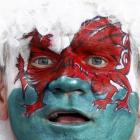 A Wales fan waits for the start of their Rugby World Cup third place play-off match against...