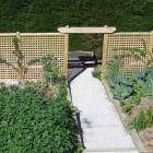 A well-planted vegetable garden can save money, as well as enabling produce to be used at its...