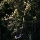 A woman does a bungy jump. Photo by Emily Adamson.