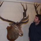 Aaron Meikle admires the Smedley red deer head which will be on display at the Opera House this...