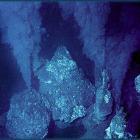 Active "seafloor massive sulphides" pictured during New Zealand exploration by Neptune Minerals...