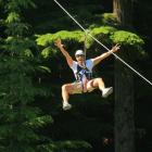 Adventure companies, such as ZipTrek Ecotours, Shotover Jet and Bungy, are some of Queenstown's...