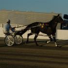 Alexis (Mark Jones), the talented 3yr-old filly who will race next in the fillies heat at...